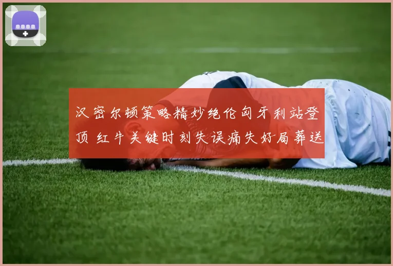 汉密尔顿策略精妙绝伦匈牙利站登顶 红牛关键时刻失误痛失好局葬送冠军